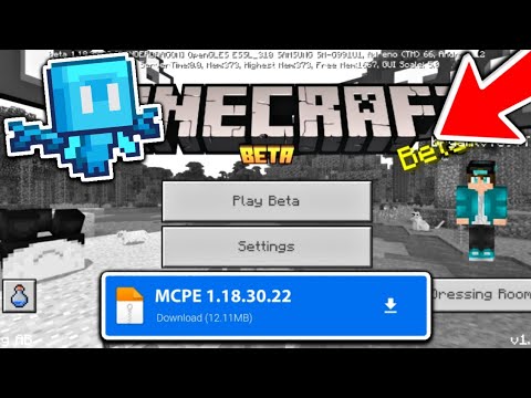 FryBry - MCPE 1.18.30.22 BETA - Minecraft Bedrock Edition