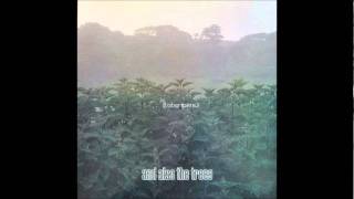 And Also The Trees - Talk Without Words  (And Also The Trees) 1984