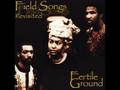 Fertile Ground - Lovin You