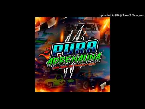 LOS DOS DE TAMAULIPAS - Pura Adrenalina