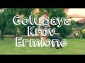 Golubaya Krov Ermione 