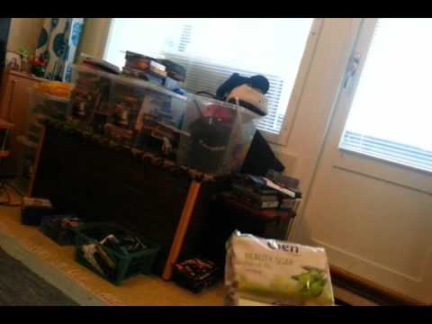 Mitäs oot touhunnut