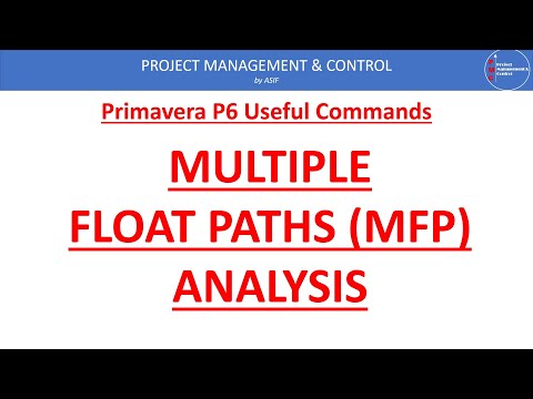 Multiple Float Paths in Primavera P6 (Part 1)