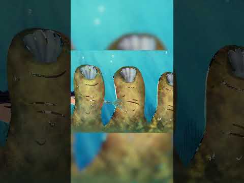 Βρε Βουνό,βρε Βουναλάκι! #shorts #kids #greekmusic #kidsanimation