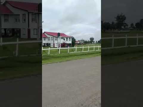 Albion sugar estate and staff compound | Berbice Guyana