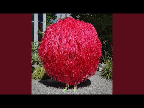Sans Contact - Stephan Eicher