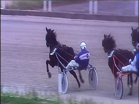 Trotto 13/12/2019 - 4ª corsa