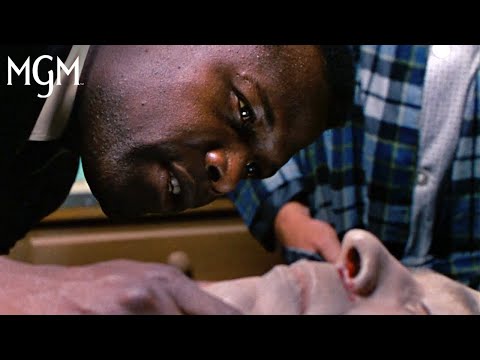 Thumbnail of the video: Autopsy Scene