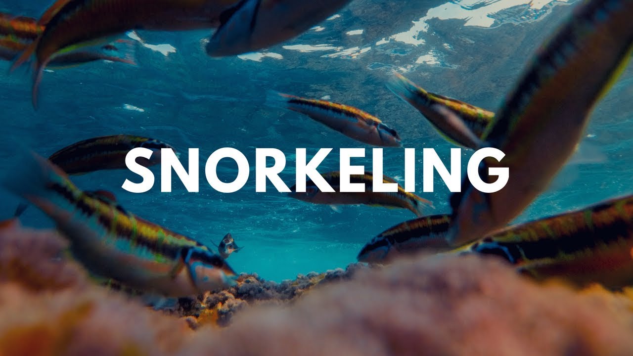 Snorkeling Sicilia