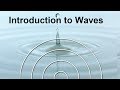Physics Waves: Frequency & Wavelength FREE Science Lesson