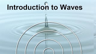 Physics Waves: Frequency & Wavelength FREE Science Lesson