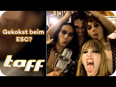 Media gauntlet: Eurovision winner Maneskin on his sudden success | taff | ProSieben