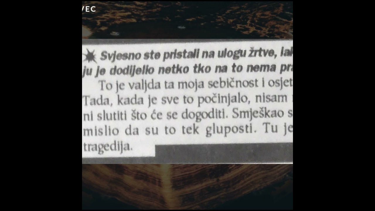 Šerbedžijina uloga žrtve 1991. #povijestplus #shorts
