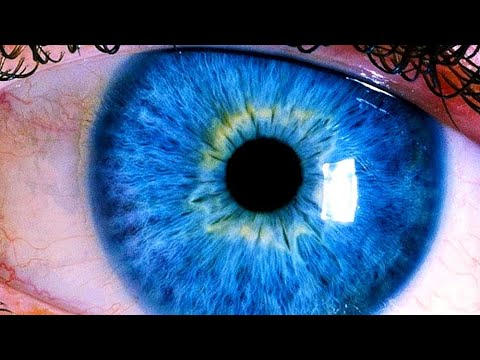 The Human Eye Cannot Perceive Objects Less Than