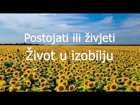 Život u izobilju