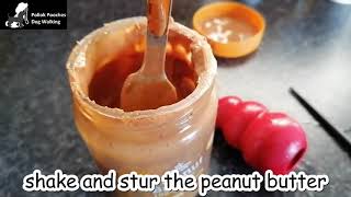 Easy DIY Dog Treat - Safely Making a Frozen Peanut Butter Kong