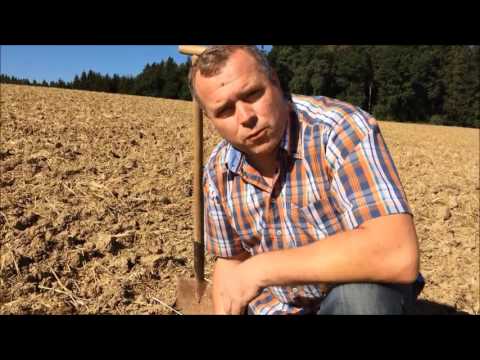 Stoppelbearbeitung Strohrotte, August 2016