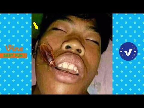 BAD DAY Better Watch This 😂 Best Funny & Fails Of The Year 2023 Part 3