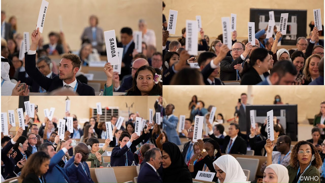 What it really takes to stop the next pandemic | Gina Samaan | TEDxZizhu Park