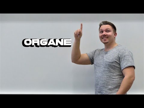 Fit für die Fischerprüfung - 08 - Organe