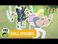 Wild Kratts FULL EPISODE | 🕷🕸Secrets of the Spider's Web 🕸🕷 | PBS KIDS