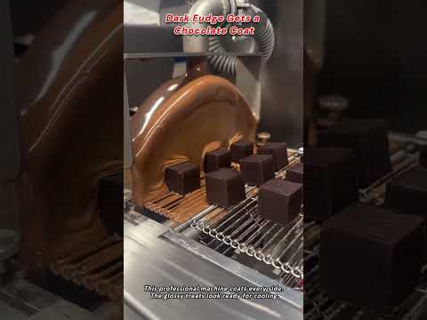 Dark Fudge Gets a Chocolate Coat