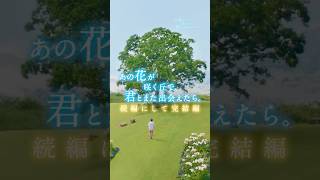 映画『あの星が降る丘で、君とまた出会いたい。』予告【8.7(fri)公開】#あの花 #あの星 #福原遥 #shorts