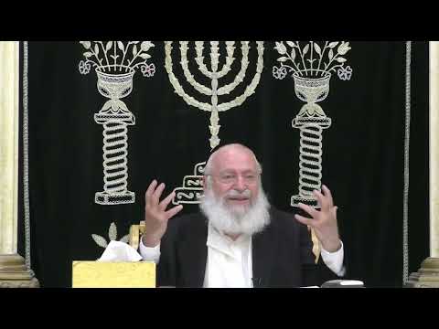 מסר קצר לפרשת בלק | מאת מרן הרב אשר וייס שליט"א (תשפ"ה)