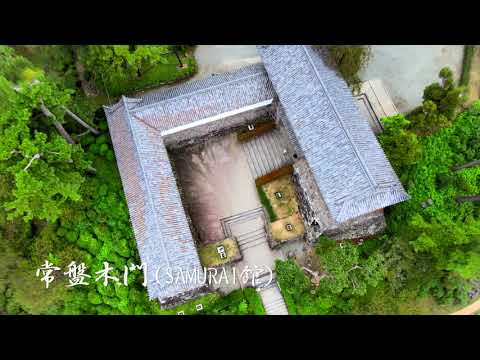 ドローン小田原城