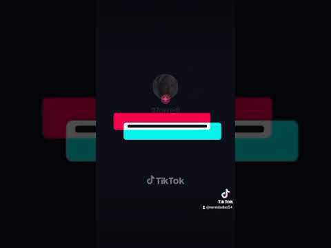 #leon #exótico #mascota #perritos #perros #reyleón #elreyleon #elreyleón