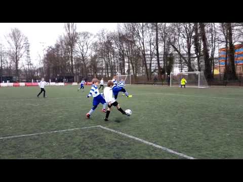 Blijdorp JO11-1 - Oliveo JO11-2