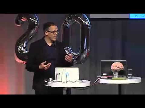 Hjärnan och verkligheten - från placebo till psykos. Predrag Petrovic. Hjärnans dag 2014
