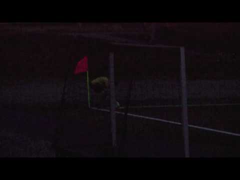 Kretslag- G13- Suldal - Skjold (Del 5)