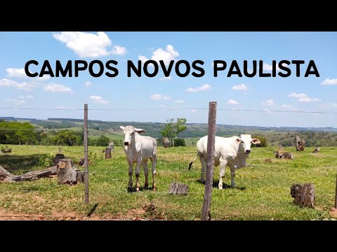Campos Novos Paulista SP - Passeio da Rota 408 pela cidade - 8° Temp - Ep 40