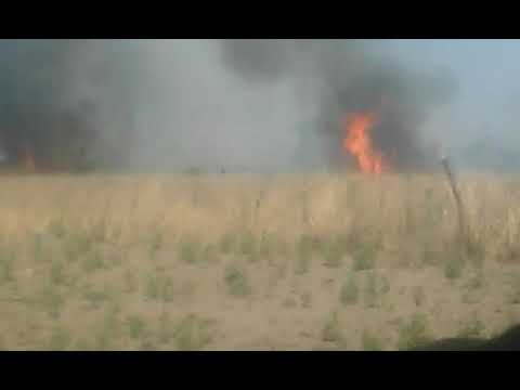 Más incendios en Argentina | 𝗘𝗹 𝗰𝗮𝗻𝗮𝗹 𝗱𝗲 𝗹𝗮 𝗚𝗘𝗡𝗧𝗘