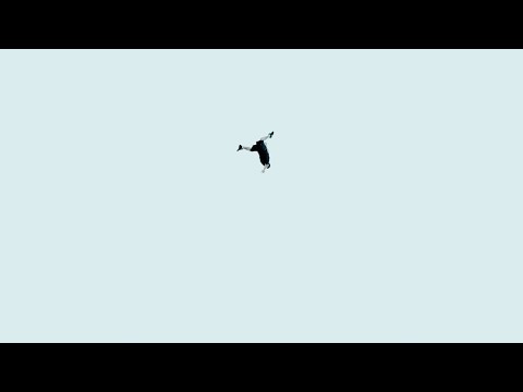 Miniatura de Viviendo Muerto