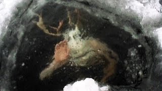 Top 15 Mysterious Things Found Frozen In Ice