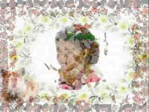 Balhas Ali Hadil Mohamad Hussein