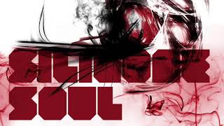 Silicone Soul - Language Of The Soul