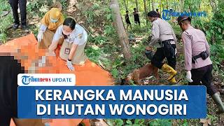 Geger Temuan Kerangka Manusia di Hutan Wonogiri, Tas hingga Senapan Angin Diamankan Polisi