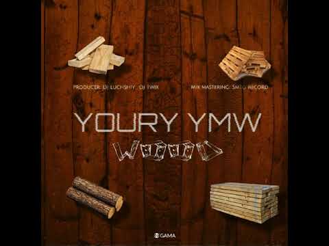 Youry Ymw (Tolly Boy's) - Wood Wood  (Official Visualizer)