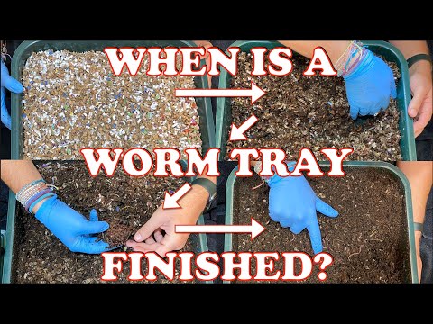 When Is A Worm Tower Ready For Another Tray On Top? | Vermicompost Worm Farm