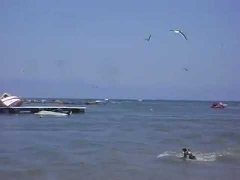 Tsunami damages port in Algarrobo, Valparaíso, Chile