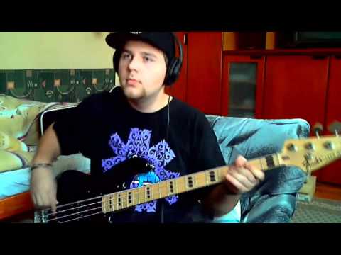 Red Hot Chili Peppers - The Brothers Cup #bass cover