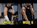 The Gains are Coming | 6 Week Arm Transformation