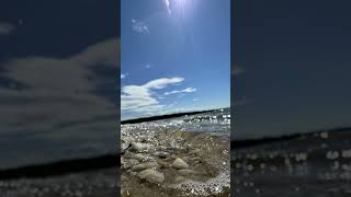 high tide washed up memories of a simpler time. #music #nature #nostalgia #summer