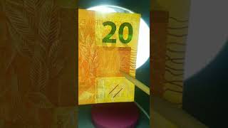 Esses detalhes são incríveis