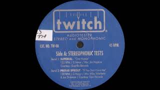 Prefab Sprout - If You Don't Love Me (Mike Wertheim Remix)
