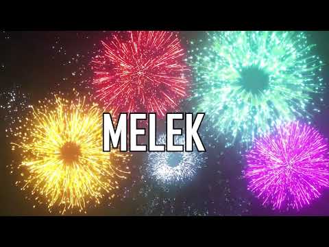 JOYEUX ANNIVERSAIRE MELEK !