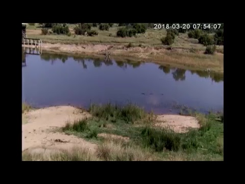 AWE South Africa  Cam